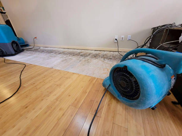 Professional Burst Pipe Water Damage technician working in Eldorado, WI